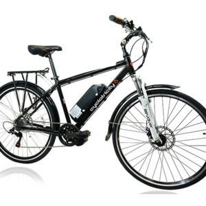 REVH250.jpg