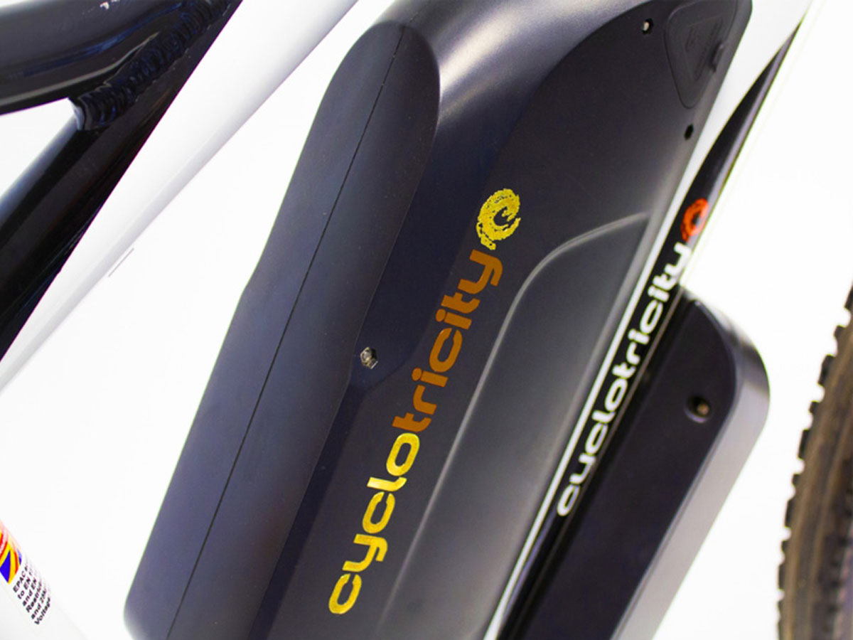 ST1000W-29er-2.jpg